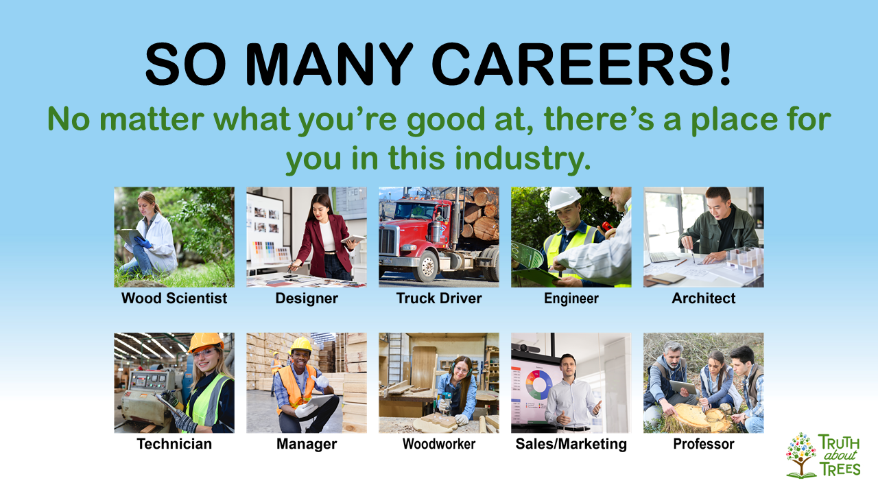 Slide preview about many forest industry careers