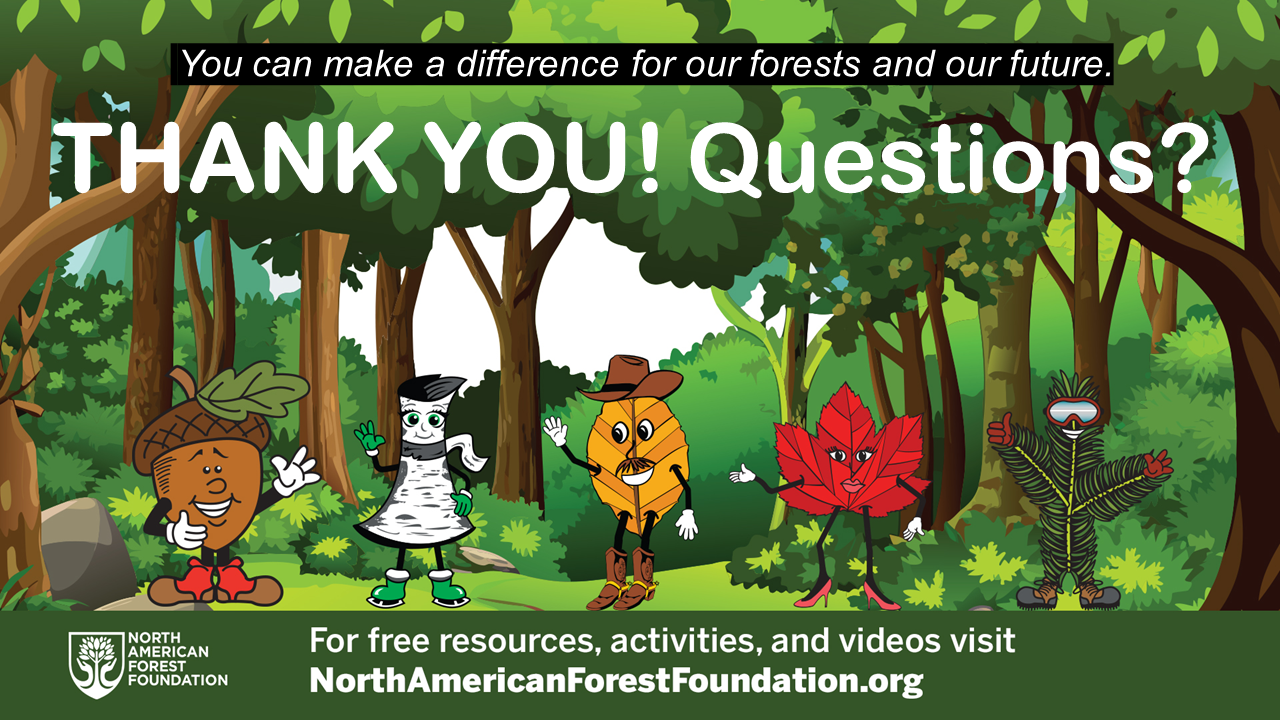 Slide preview about many forest industry careers