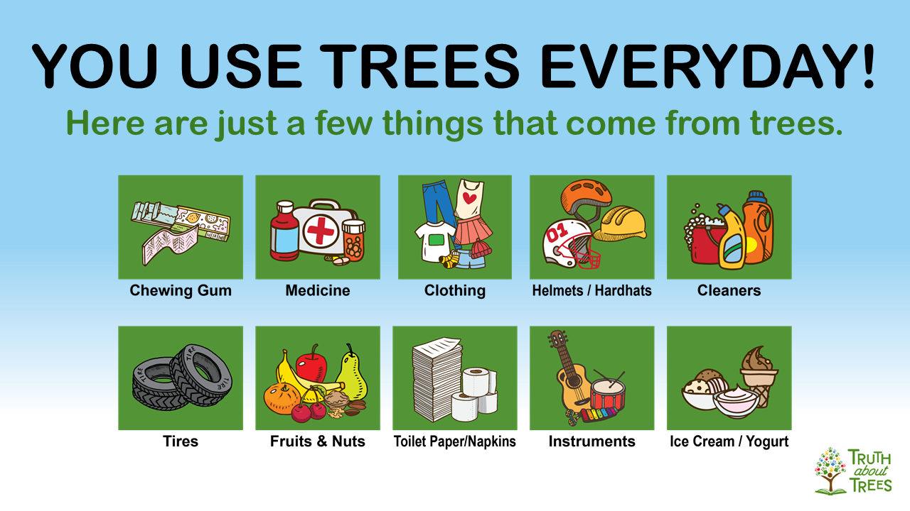 Slide preview showing how trees are used