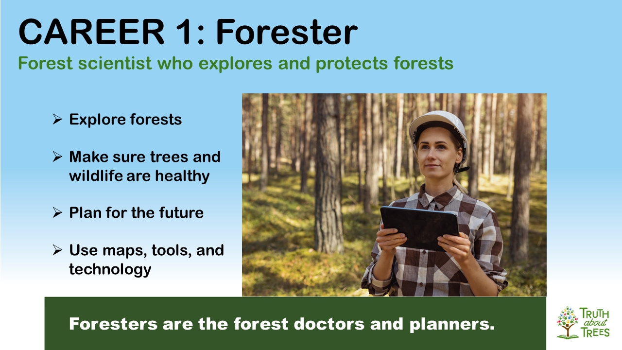 Slide preview of forest career spotlights
