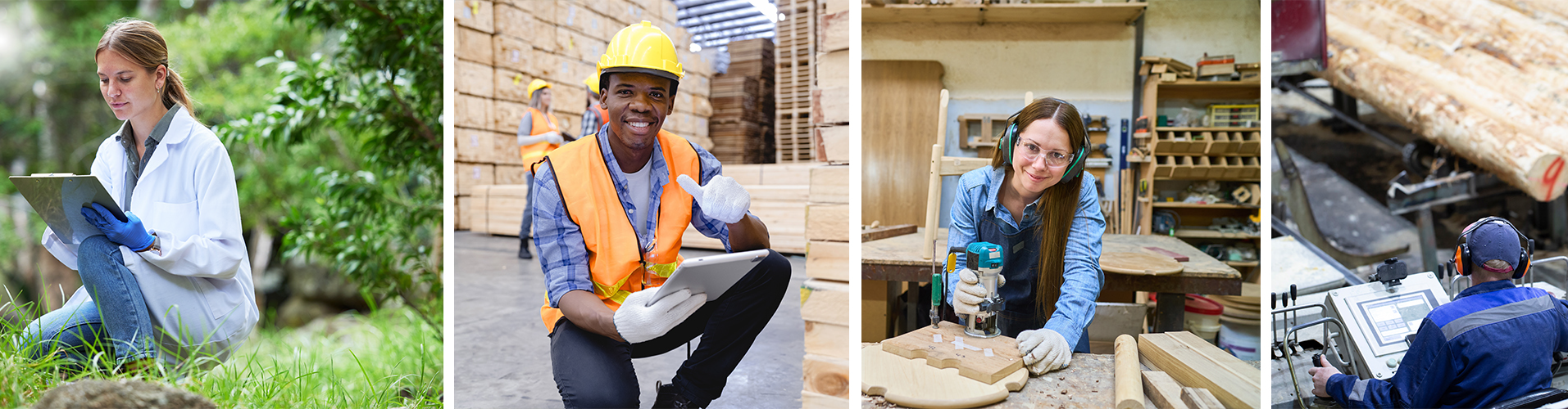 Forest industry professionals and wood products