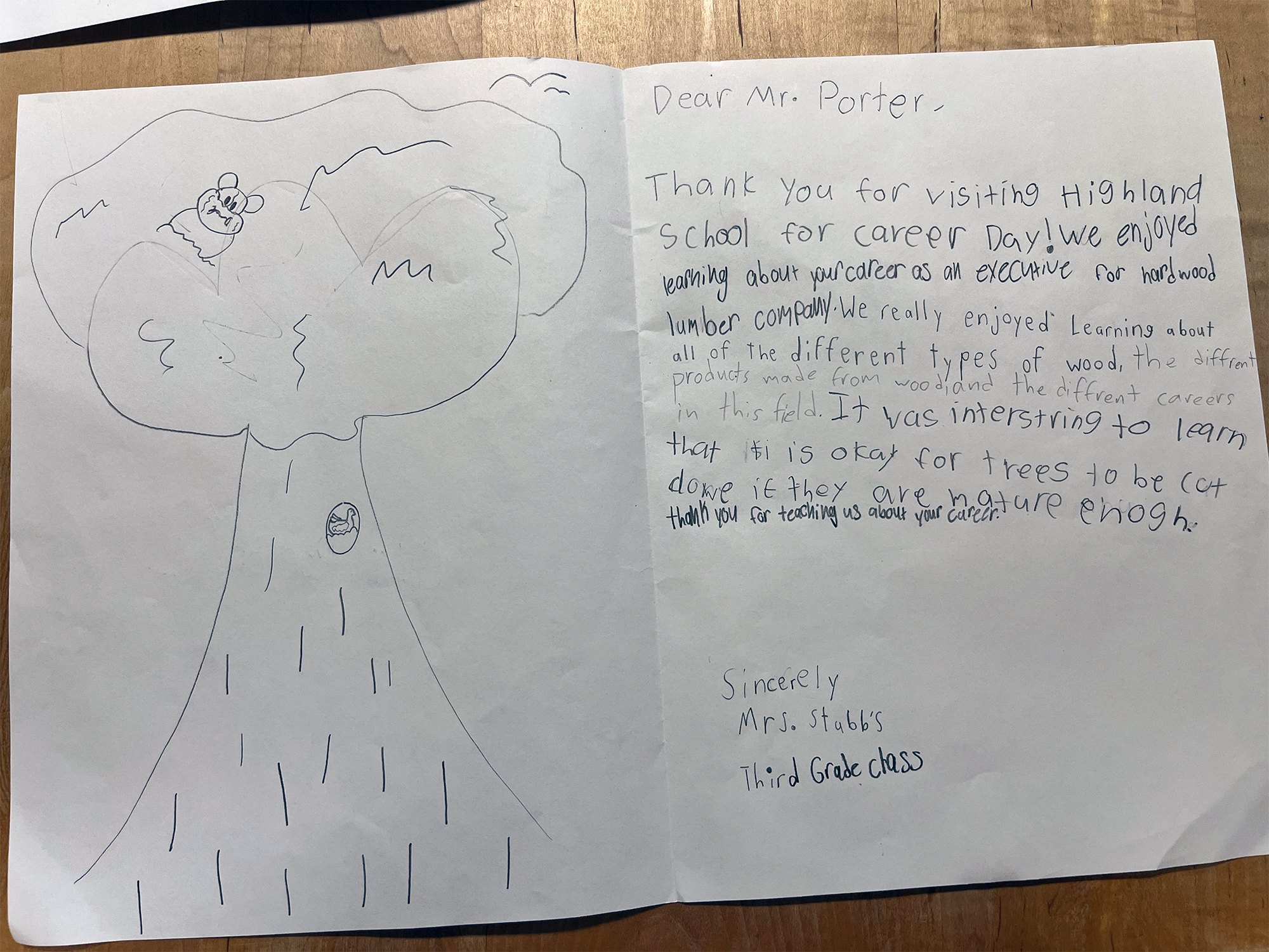 Student drawing about forests and trees